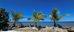 Aqua Bella I Oceanfront House - Image 4